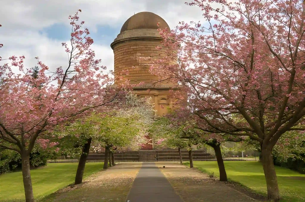 The historic Hamilton Mausoleum framed by pink cherry blossoms, a prominent local location in South Lanarkshire.